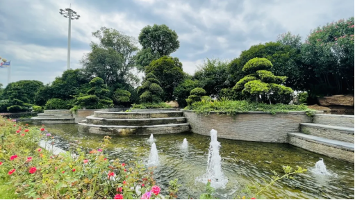 1629969154230296.png image.png