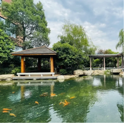 1629969157968174.png image.png