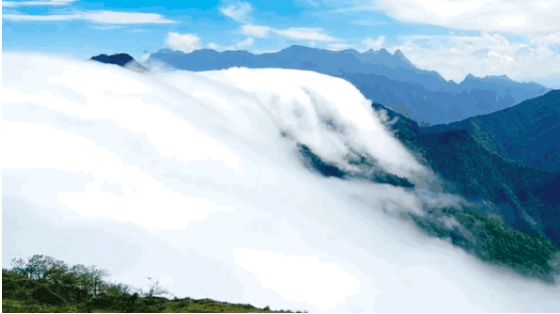 1635496930264036.png 1.png