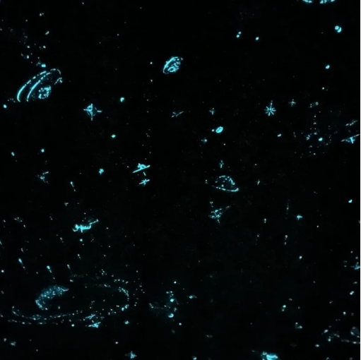 1640341182386968.png image.png