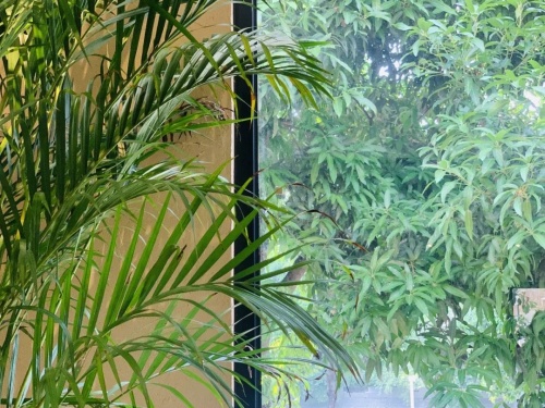 1650275904268820.png 6258d0897a313.png