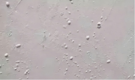 微信截图_20220629130028.png