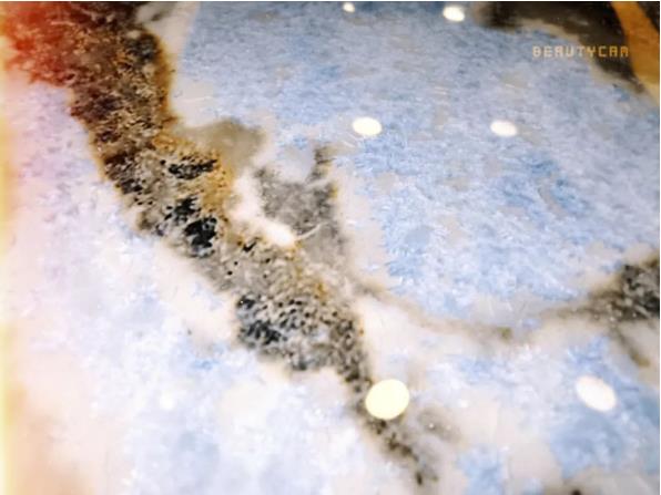 1660279092447636.jpg 1660279092447636.jpg