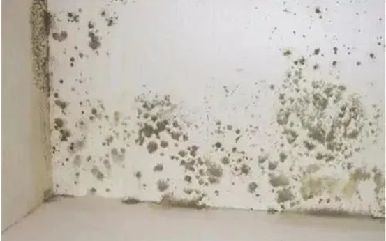 微信截图_20230325103036.png