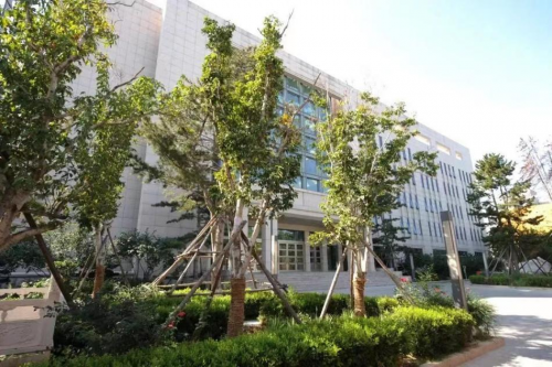 1685024799445187.png 646ef57d6a21f.png